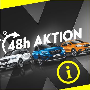 48H Aktion Opel attraktive Raten mit Null Zinsen nur zu einer bestimmten Zeit! Opel Thiede Neuwagen in Schöningen